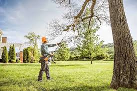 How Our Tree Care Process Works  in Malone, FL